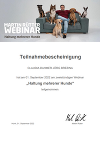 Mehrhundehaltung